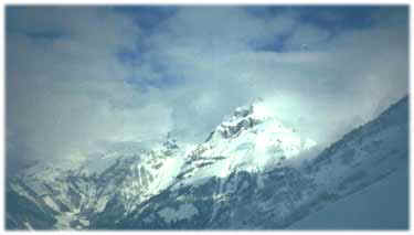 cherry2.jpg (10213 bytes)